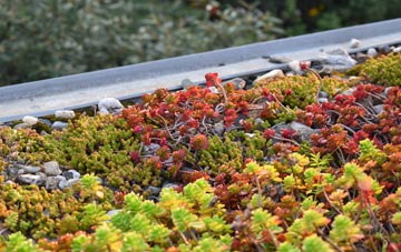 the cost of Buckabank green roof installation