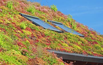 Buckabank living roof systems