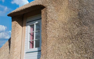 Buckabank thatch roof disadvantages