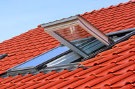 Buckabank roof window